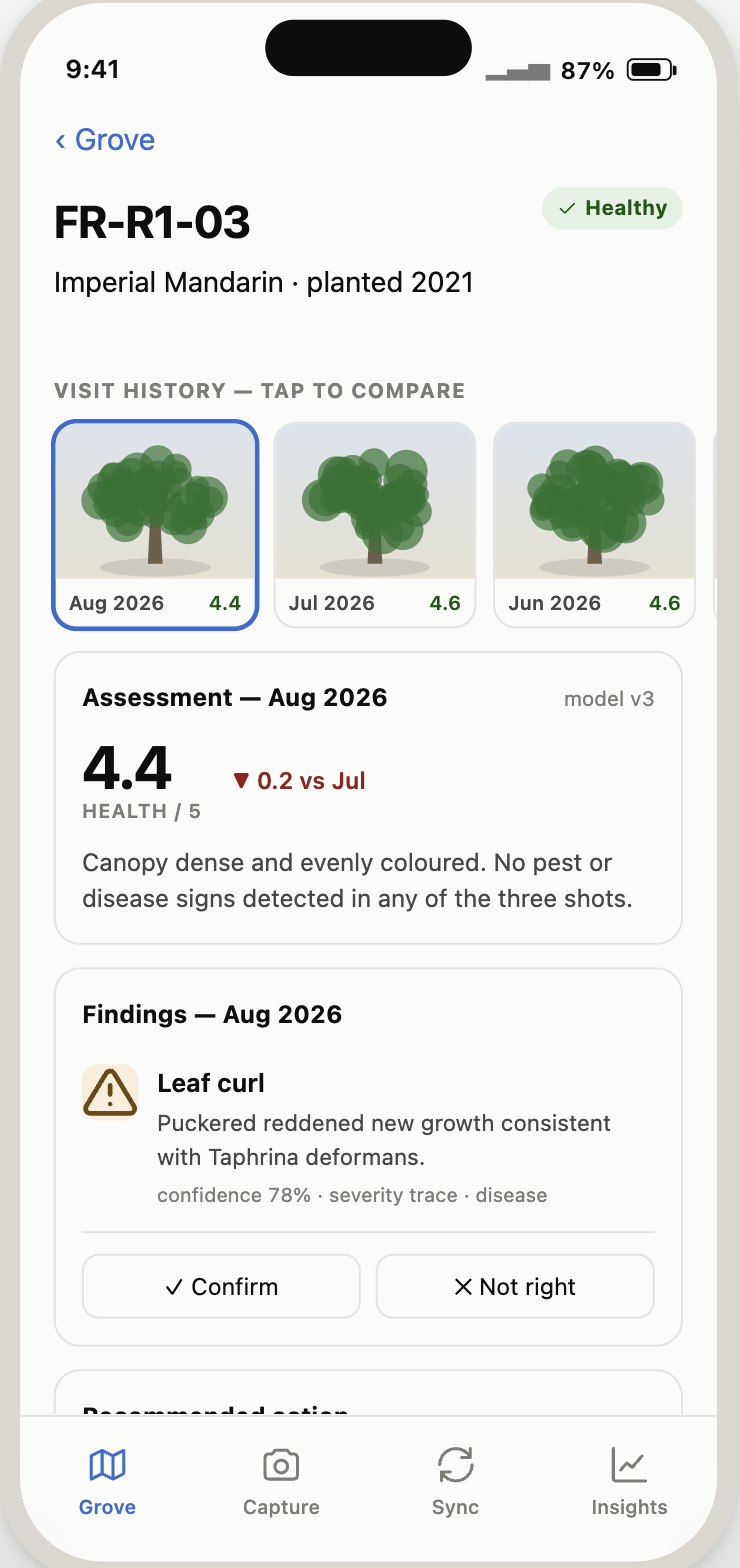Tree detail for FR-R1-03, an Imperial Mandarin citrus planted 2021, marked healthy with a low-severity leaf curl finding and confirm/not-right buttons.