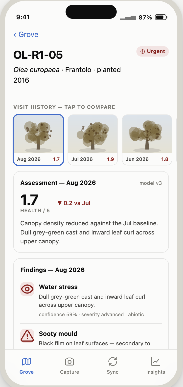 Tree detail for OL-R1-05, an Olea europaea Frantoio olive planted 2016, showing a declining health score and a water stress finding at 59% confidence.